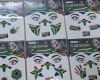 Face Paint - SA Flag Tattoos - Assorted